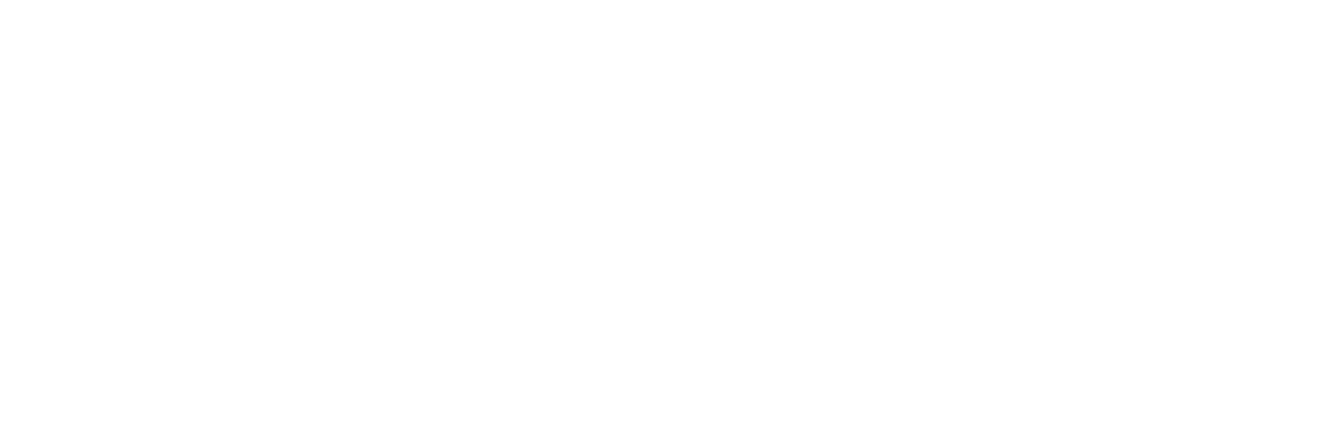 BULLET POINTE